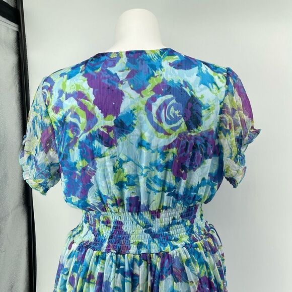 Ashro Lavita Blue Floral V-Neck Dress 1X 16/18 Smocked Waist Short Sleeve - Picture 11 of 16